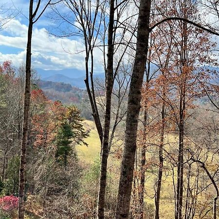 Misty Mountain Cottage Waynesville Dış mekan fotoğraf