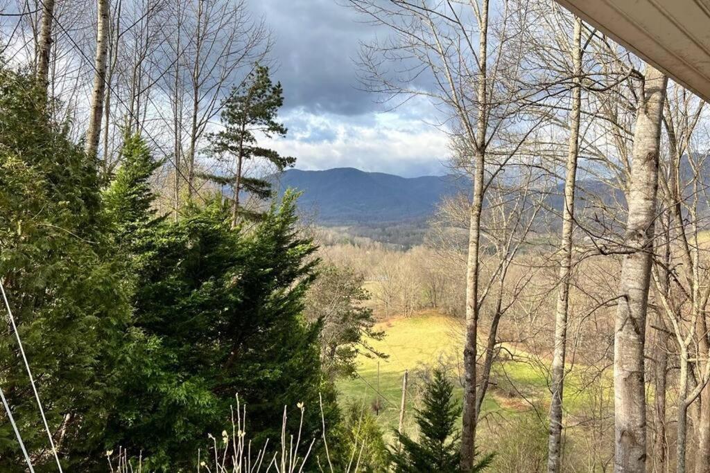 Misty Mountain Cottage Waynesville Dış mekan fotoğraf