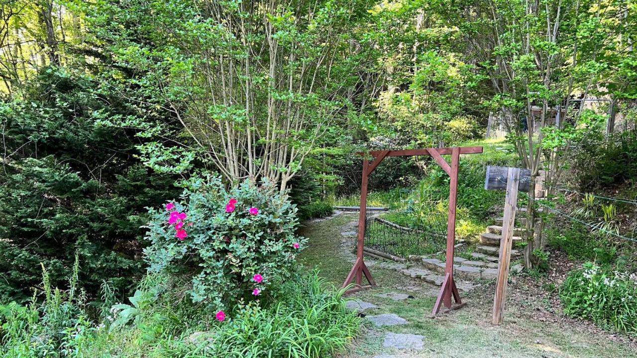 Misty Mountain Cottage Waynesville Dış mekan fotoğraf