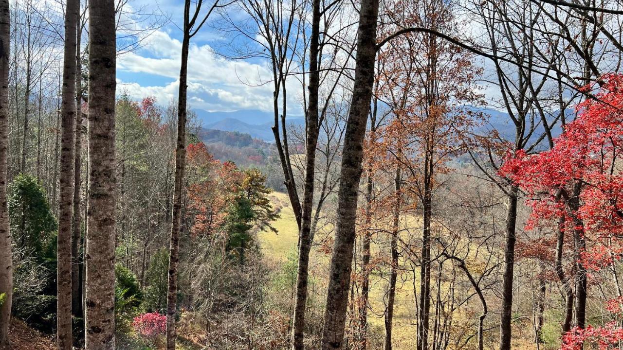 Misty Mountain Cottage Waynesville Dış mekan fotoğraf